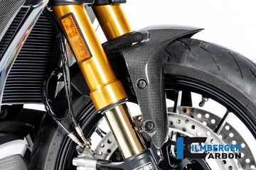 Ilmberger Carbon Fibre Front Mudguard for Ducati Diavel 1260 2019-22